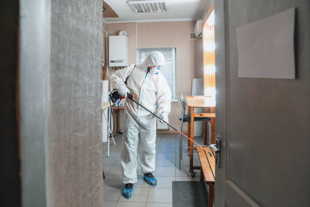 Mold Remediation for Rental Properties