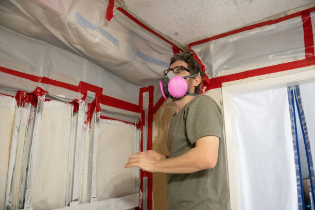 Mold Removal for HVAC Installations in Bacliff, TX